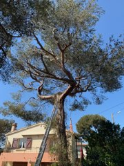 IMG_20211031_210040_01